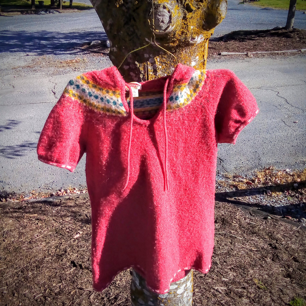 Cute Pink Wool Cottagecore Hoodie/Shirt, (RARE)